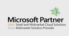 Microsoft Partner