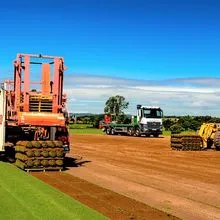 Turf harvesting at Teal Turf